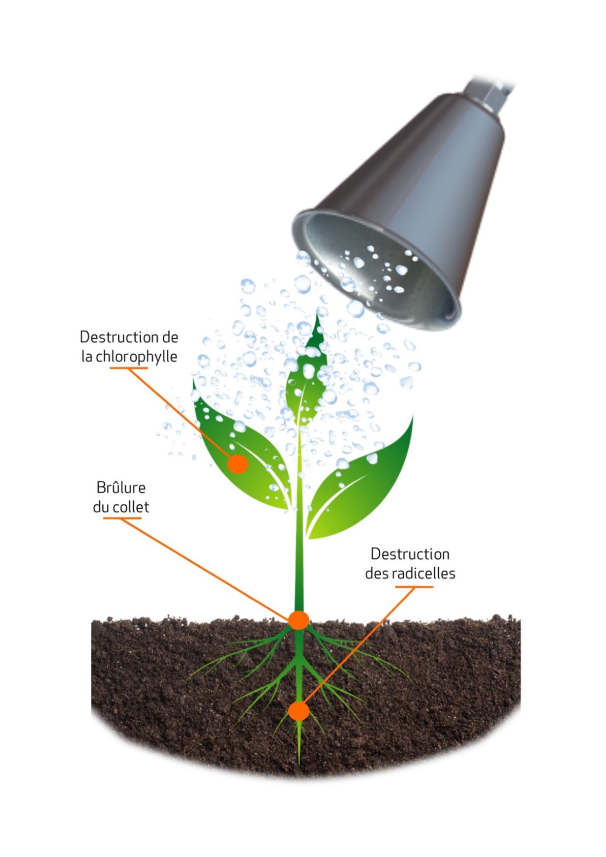OELIATEC – démonstration 1