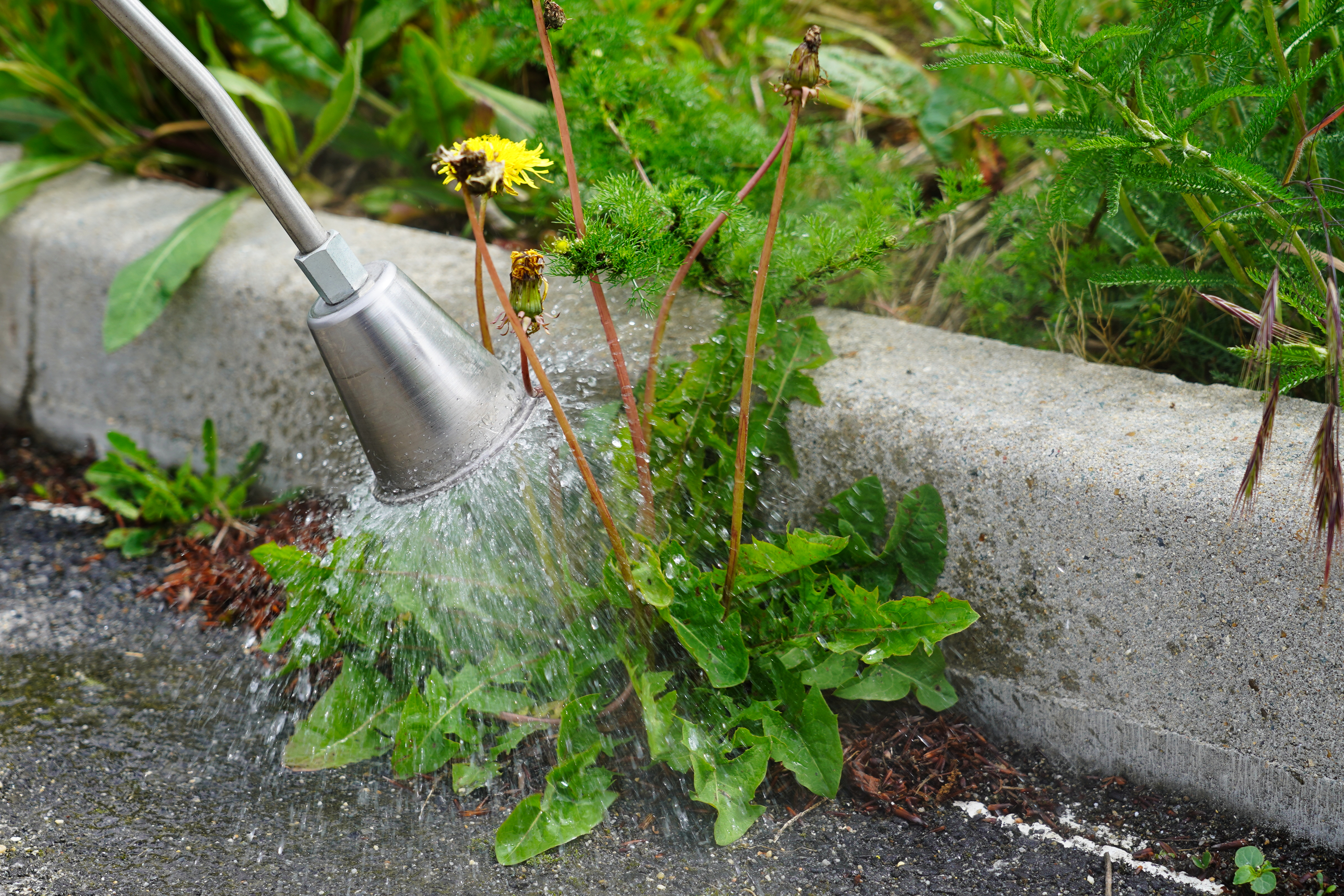 OELIATEC – démonstration 2